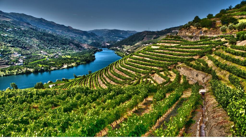 Portugal segue entre os destinos preferidos dos brasileiros amantes de vinho.