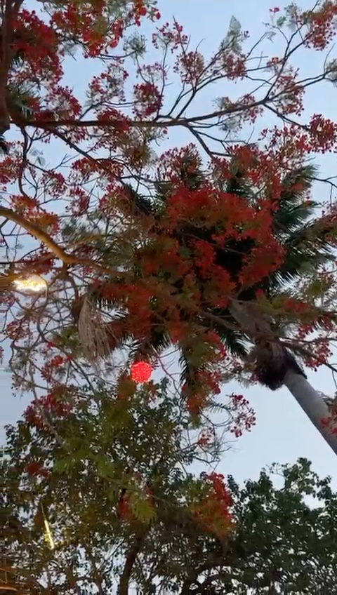 Entardecer em Pirenópolis ao som das Araras.