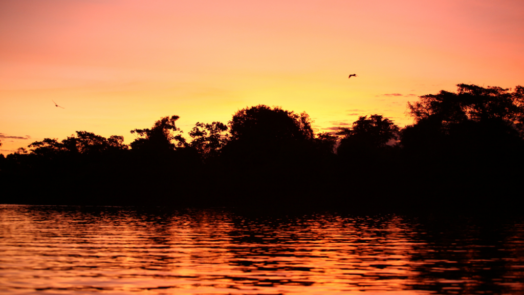 Temporada do Araguaia 2026: praias paradisíacas, grandes shows e natureza fazem de julho a melhor época para conhecer o destino